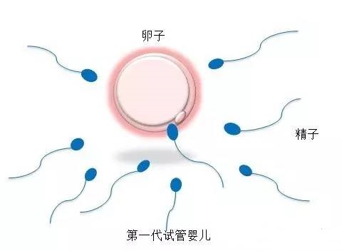 测序平台